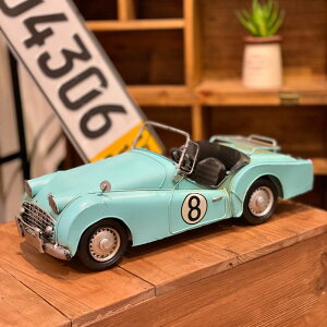 uLJ[ 43040 X|[cJ[ I[vJ[ l uL  AeB[N g u fBXvC ~j`A RNV re[W