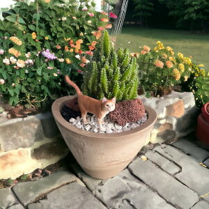 󒍐Yi Aj}V[Y ZEX lR L ˂ ϗtA JN^X CeA O[ ~j`A 킢  tBMA SB24-15