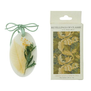 yRETELLINGS OF CLASSICzbNXTVF O[[tzCgeB ArtFACANTHUSbeOXIuNVbN TVF v`Mtg