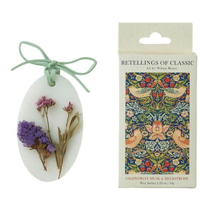 yRETELLINGS OF CLASSICzbNXTVF O[vt[cXNwIg[vArtFSTRAWBERRY THIEFbeOXIuNVbN TVF v`Mtg