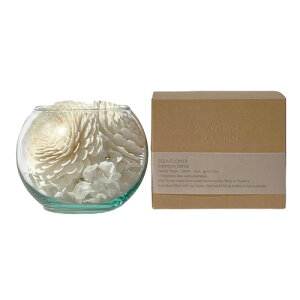 y2024zSola Flower Solarium \t[\E Dahlia _Ay|vzyv[gzyuC_zyi`zySҌzyA}zy[tOXzyv`Mtgz