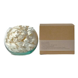 y2024zSola Flower Solarium \t[\E Peony sIj[y|vzyv[gzyuC_zyi`zySҌzyA}zy[tOXzyv`Mtgz