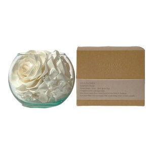 y2024zSola Flower Solarium \t[\E Rose [Yy|vzyv[gzyuC_zyi`zySҌzyA}zy[tOXzyv`Mtgz