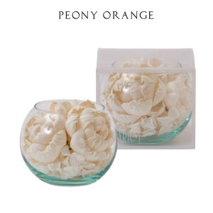 �y����t Sola Flower�z�\���t�����[ �\�����E���i�O���X�{�E���j�E����F�s�I�j�[�I�����W�E�Ԃ̌`�F�s�I�j�[�y�|�v���z�y�v���[���g�z�y�u���C�_���z�y�i�`�������z�y���S�Ҍ��z�y�A���}