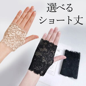 FT|[^[ nhEH[}[ Jo T|[^[ 2Zbg [X Xgb` nhJo[ ʋC ̍bB