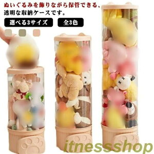 [{bN ~` [{bNX Wt ʂݎ[  [`[u CeA  ꕨ Vi [P