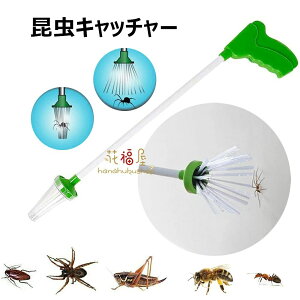 Qb^[ w偂̕ߊl ߂ Lb`[ 莝Qߊl ߒ XeBbN Eܕsv Q쏜  n