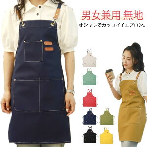 ̓  Ɨp wZ o[ et JtFGv Lb`Gv  LoX [NGv  fB[X