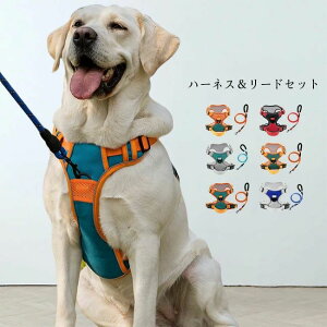 JoLx o U EȂ ɂ ʋC xg߉ ȒP ˃e[vt   ^