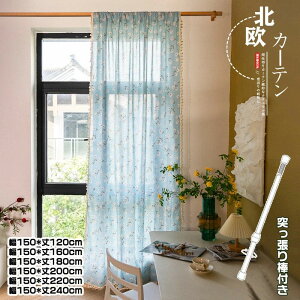  J[e ̂ d؂  ډB  ˂_t O hA Ւf Ki ԕ Ԏd؂J[e c  Q