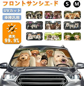 VF J[ J[e ԗp ANZT[ [ đ΍ fM Ռ  悯 ėp  킢 tg  TVF[h