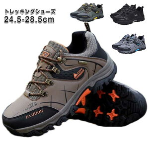 y C gbLOV[Y JWA  R Xj[J[ C  V[Y h Y EH[LOV[Y J̓