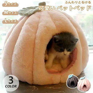  킢 ybgp Lp ^ ˂nEX  ObY ʔN LbgnEX h[^ eg xbh  L LnEX