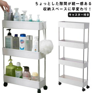 Lb`S [ ʏ Lb`Ԏ[ RpNg  X   LX^[t[S 13cm S