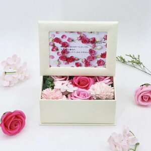 t[{bNX j a AWg ̓ \[ LO v[g {bNX ʐ^  Vv[t[