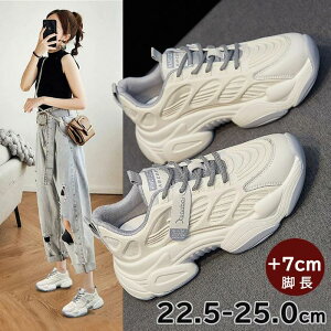 Cq[ C 킢 EH[LOV[Y ^ V[Y ʋC _bhXj[J[  fB[X lC ؍ bV