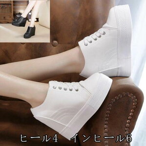 V[Y 22.5 Xj[J[  24.5 22 JWA 10cm  23.5 23.0 q[ fB[X 24.0 di127d3d3 ubN  zCg