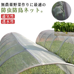 悯 h gl lbg hlbg hlbg Ԗڂׂ  1/2/3m×30M | hV[g  悯