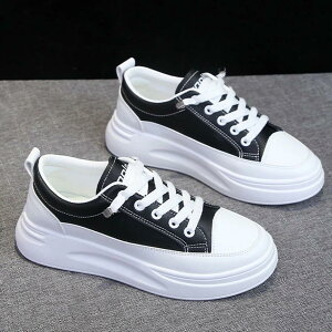 _ V[Y fB[X C y  s  lC ʊw q ɂȂ Z Xj[J[ ʋ X|[c s q