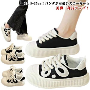 ^C ~ ₷ O _  jOV[Y t [Jbg H JWA  킢 y ʋ r Ƃ