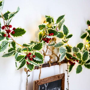 t DIYXgOCg ʎ NX}XCg K[h dr ڂ ֏ LEDCg }݂艺Cg