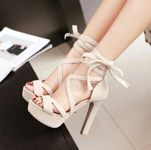 T_  V[Y 11.5Z` Xgbv nCq[  q[ ANXgbvT_ [XAbv fB[X