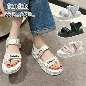 fB[X A xN X|[cT_ T_ RtH[g V[Y y^RT_ fB[XT_ Xbp 