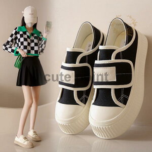  ʋC JWA fB[XC C jOV[Y t RtH[gV[Y ^C fB[X V[Y Xj[J[