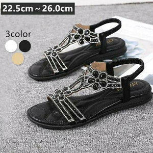 C 3E  T_ fB[X gOT_ T_ ₷ tbgT_ ؂ s CY fB[X