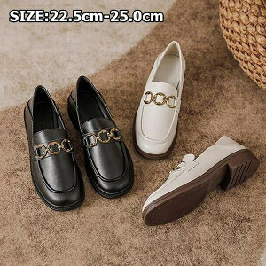 fB[XV[Y ɂȂ ₷ w ʊw    ʋ  ₷ fB[ ubN fB[X