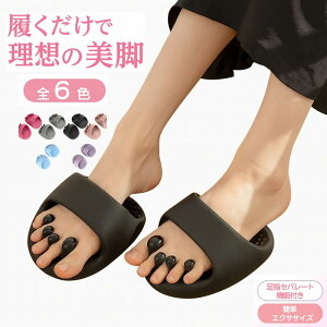 _yVX[p[SALEI 1580~I^_CGbgXbp fB[X Y  c{ NT_ 5{w 􂦂  w L ̊ g[jO d ΍ ܐ旧