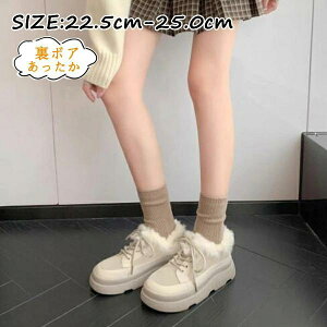 [gu[cV[Y [t@[ C fB[X RRV[Y fB[X  fB[X ɂ fB[X