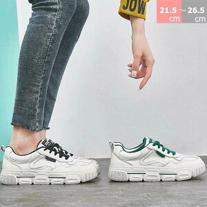 XG[  JWA fB[X [Jbg 킢 C Vv WjA V[Y 21.5cm`26.5cm ʊw ʋ d