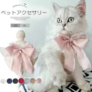 ybgpJ[  Lp t^I [X ANZœʂXmasIIׂ7F ybgObY XJ[t {