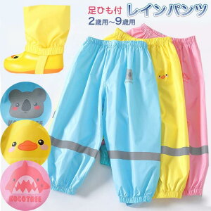  킢 LbY Cpc CEFA  Ђt  Y{ H qǂ ꒅ vCEFA h