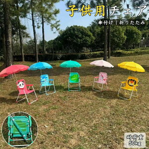 X|[c Lv ֗  RpNg O ނ ϐ qp ܂肽 ֎q W[ Lv`FA AEghA`FA