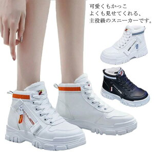 [XAbv  V[gu[c fB[X nCJbg Xj[J[ V[Y h ₷ N h