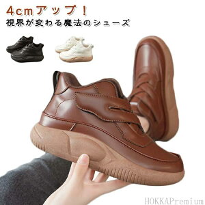 ₷ fB[X  V[Y fB[XV[Y r ~ ϖ V[Y yznCJbgXj[J[