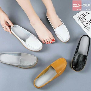 ₷ fB[X l JV C t l [t@[ o ؂ tbg\[ V[Y tbgV[Y