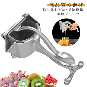 蓮W[T[ 蓮 ڂ t[cڂ ڂ i t[ci W[T[ ʕi
