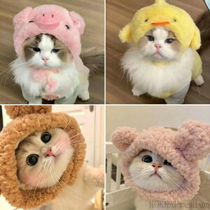 ybgpR Lnbg   Ԃ }WbNe[v ^CĂ p_ N} u^ Ђ悱 yznEB