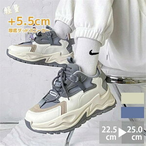 Xj[J[ C V[Y _bhV[Y Xj[J[ _bhXj[J[ q[5.5cm { [Jbg fB[X ؍