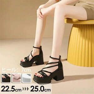 TCY X|[cT_ V[Y q[ 3J[ q[ q[7cm fB[X 傫TCY 傫TCY xg