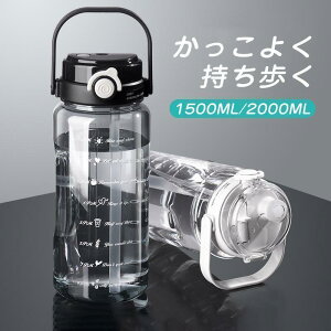 hN{g ^C}[J[ y }C{g  EH[^[{g  X|[c{g Lv gѕ֗  L