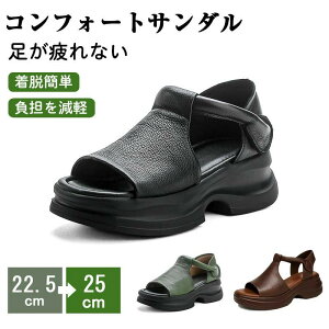 vT_ Odw fB[X Xg[gT_ JWAT_ ̌ EFbW\[T_ 4E  r 5cm