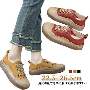 ₷ hV̓ OΉ ₷ RtH[gV[Y fB[X L  ̓ ɂȂ Xj[J[