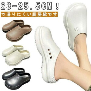 fB[X JtF Y HX RbNV[Y h y HX ϖ ϊ ~[V Ȃ ~[C ƌC RbNV[Y