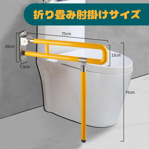 肷 앗C肷 ǂɌŒ hKR XeX gC肷 ֊肷 萠  gC肷 C ω׏d200kg
