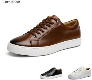 ̓ 50 40 v[g Y   30 ʋ o^C {v rWlXV[Y 20 Xj[J[ U[