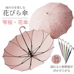 y P 傫 P JP JP fB[X WvP Wv Ԃ̌` 16{ IV  JōoP